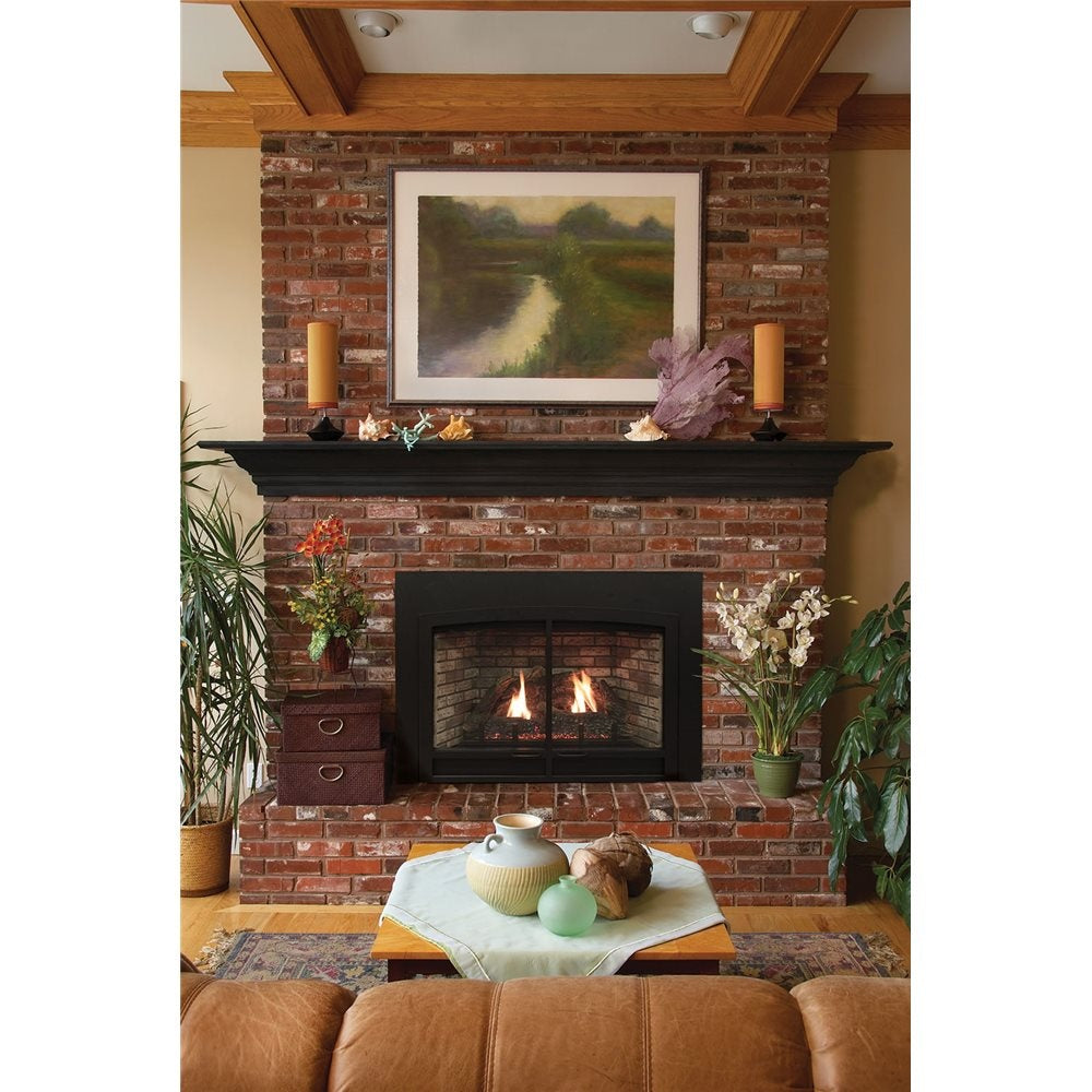Empire Comfort Systems Innsbrook DV CF Fireplace Insert