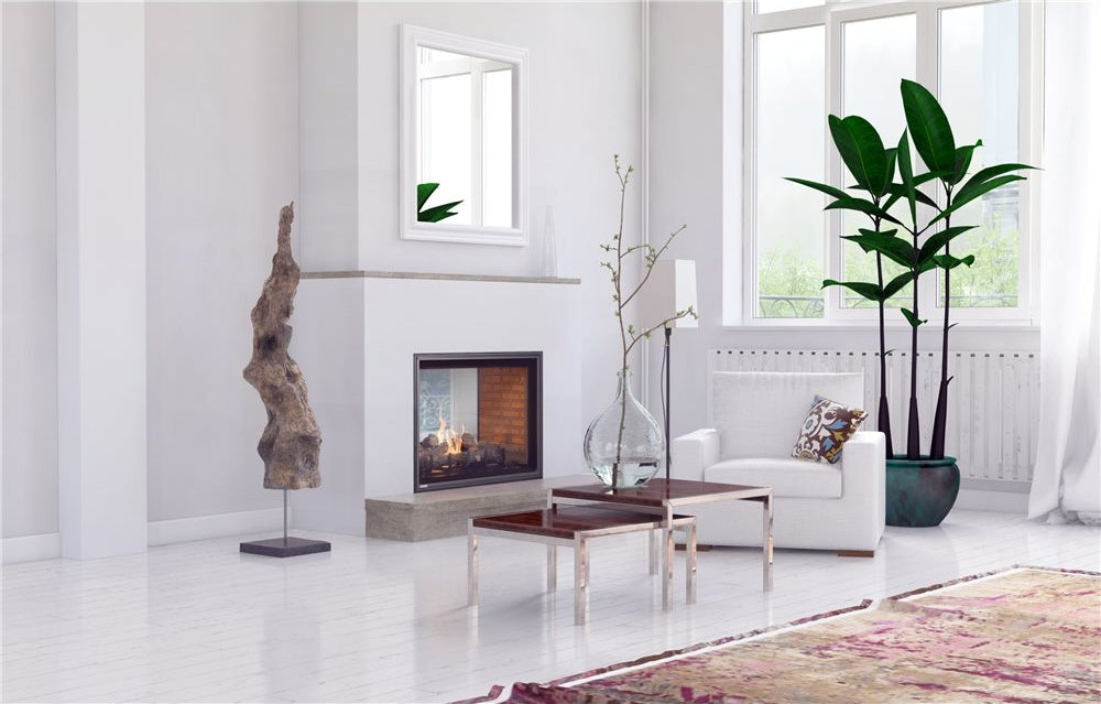 Montigo Divine H42 See-Through LP Fireplace