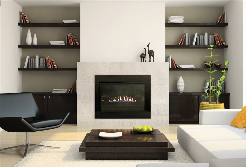 Empire Comfort Systems Loft VF Millivolt Zero-Clearance Fireplace